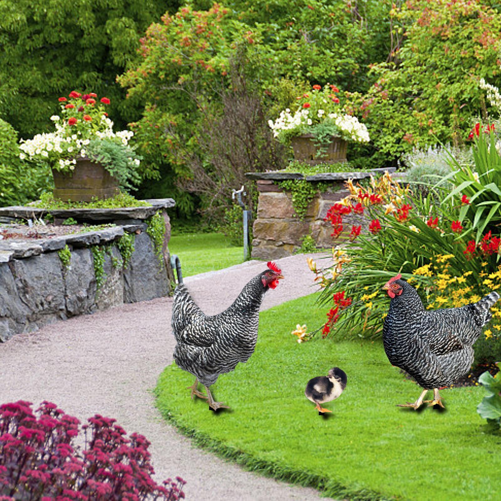 3 Pieces Chicken Animal Statue Animal Shaped Yard Stake for Pathway Decor