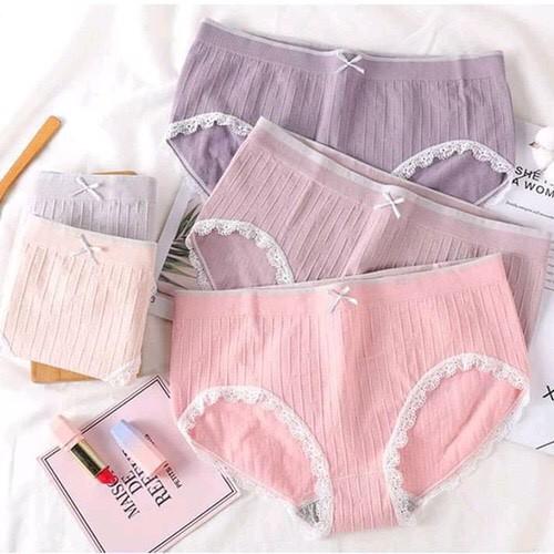 Hộp 5 Quần Lót Cotton Thiên Nga Dễ Thương Co Giãn 4 Chiều Cao Cấp