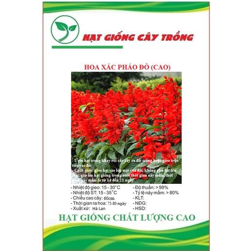 Hạt Giống Hoa Xác Pháo Cao Đỏ CT472 - Gói 50 hạt