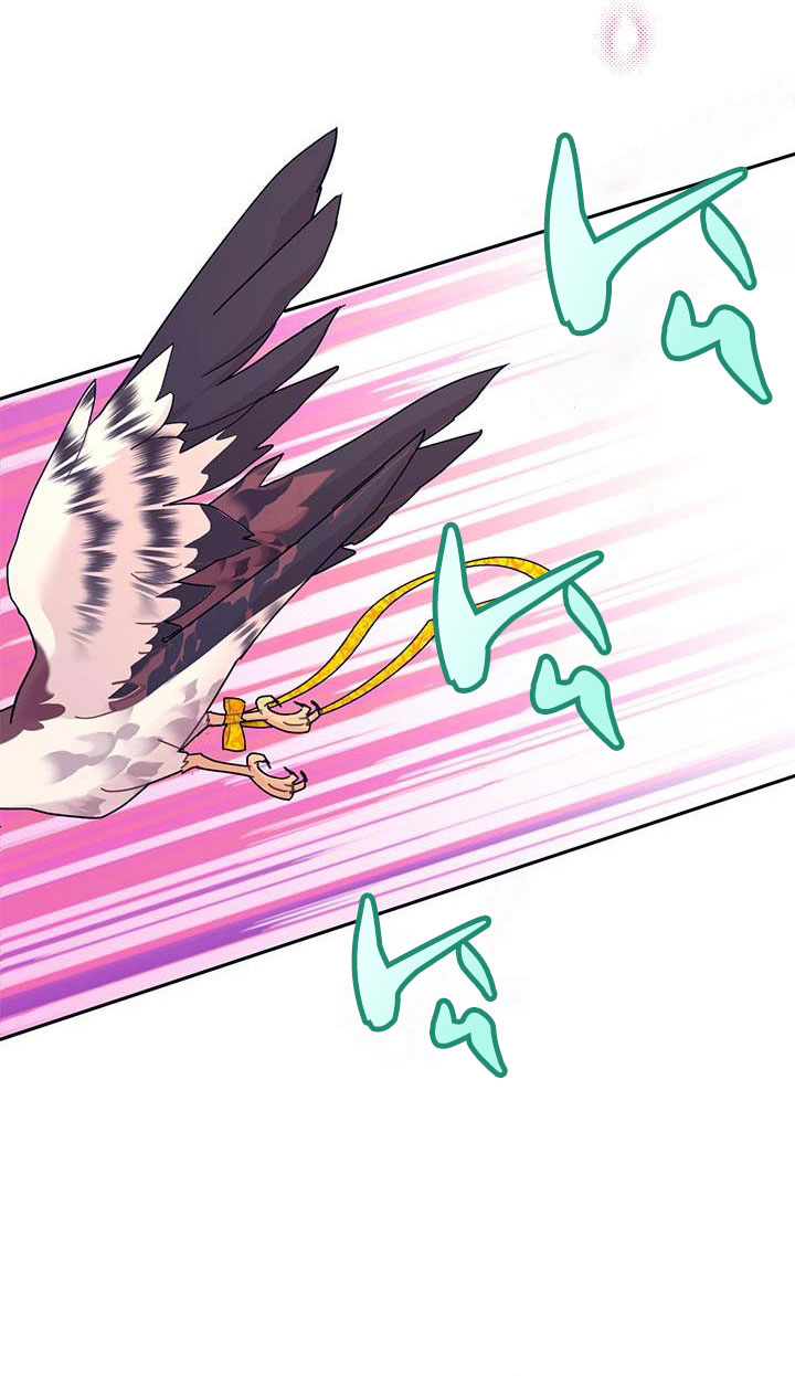 công chúa của loài chim chapter 37.1 40