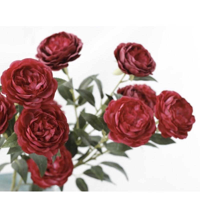 Cành hoa hồng trà lai cao 80cm đẹp sang trọng phong cách bán cổ ...