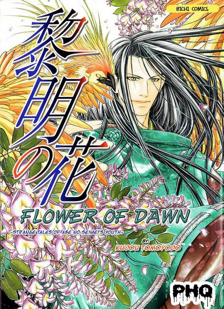 flower of dawn chapter 1 1