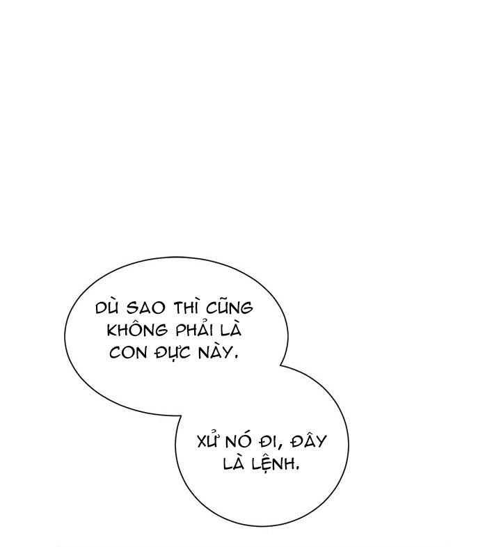 công chúa của loài chim chapter 25 12