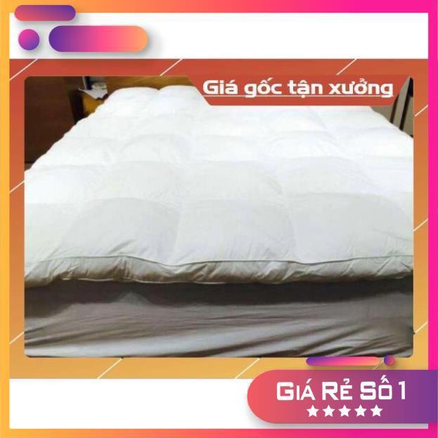 popper tấm làm mềm nệm cao cấp 1m6x2m. 7cm