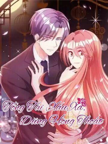 tổng tài xấu xa, đừng hòng thoát chapter 1 2