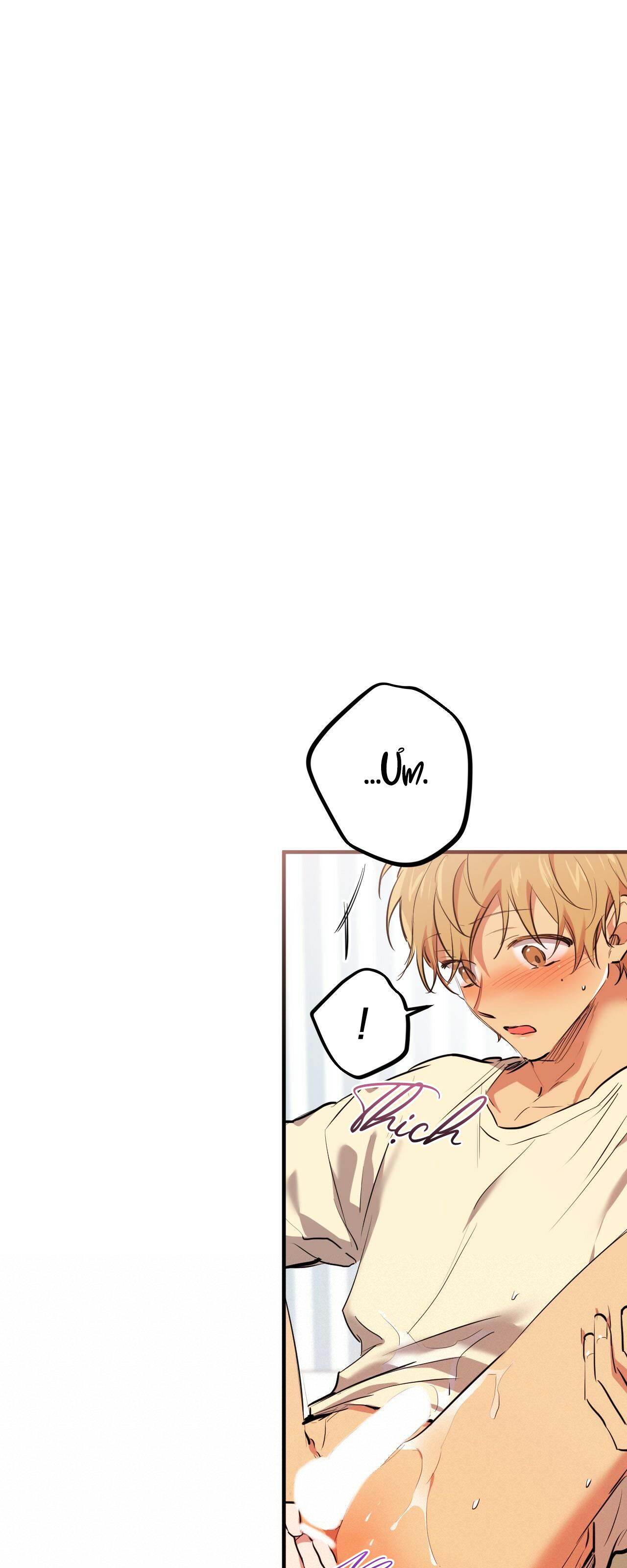 những chú thỏ của hapypy chapter 38 38