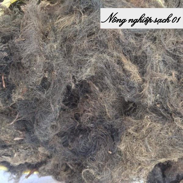 Rễ bèo tây - Rễ cây lục bình- Dùng để chiết cành - Ra rễ 100% - 500g