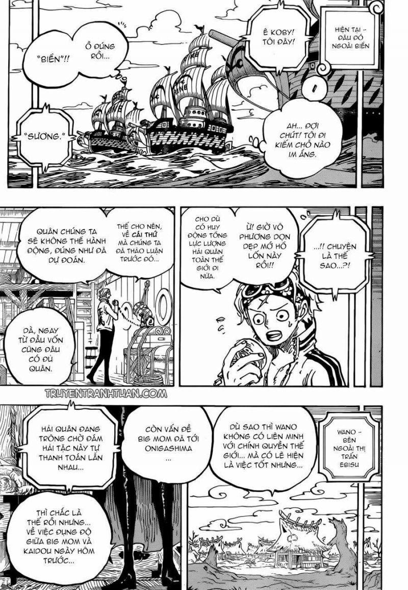 đảo hải tặc - one piece chapter 956 11