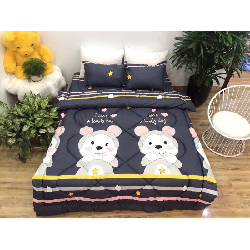 Một Áo Gối Vỏ Gối Mền Mịn Cotton Poly Size 65cm x45cm Chọn Mẫu