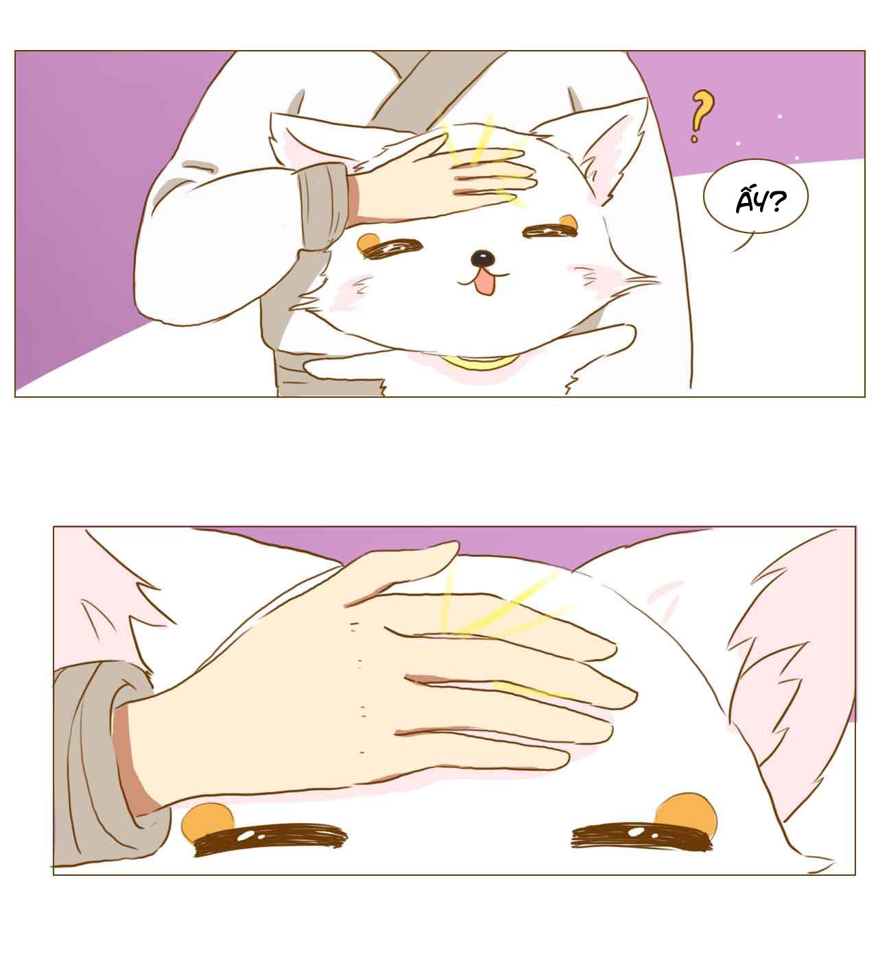 mẫu phi đuôi của người lộ ra rồi kìa chapter 51 5