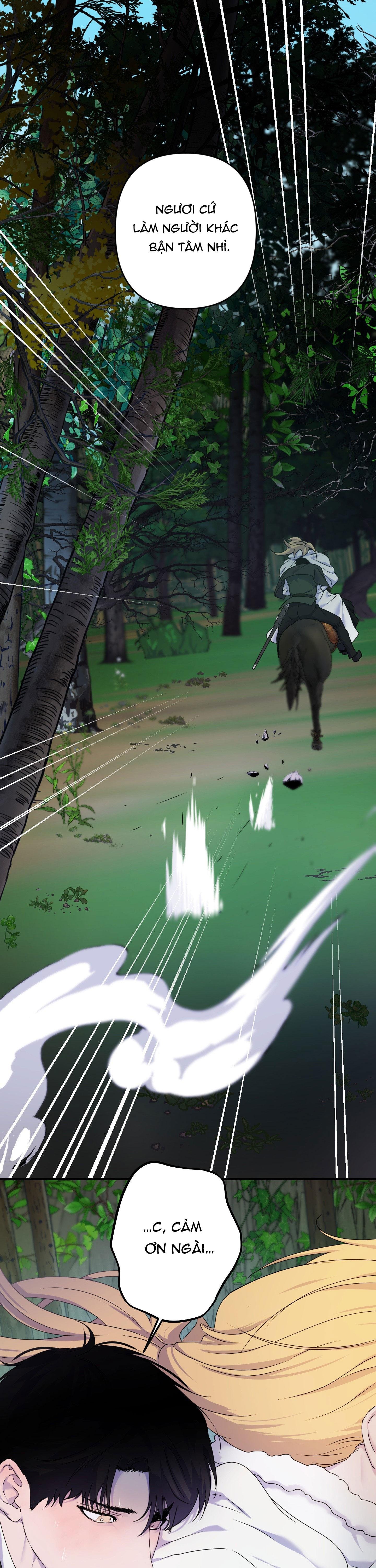 đóa hoa của alosha chapter 26 2