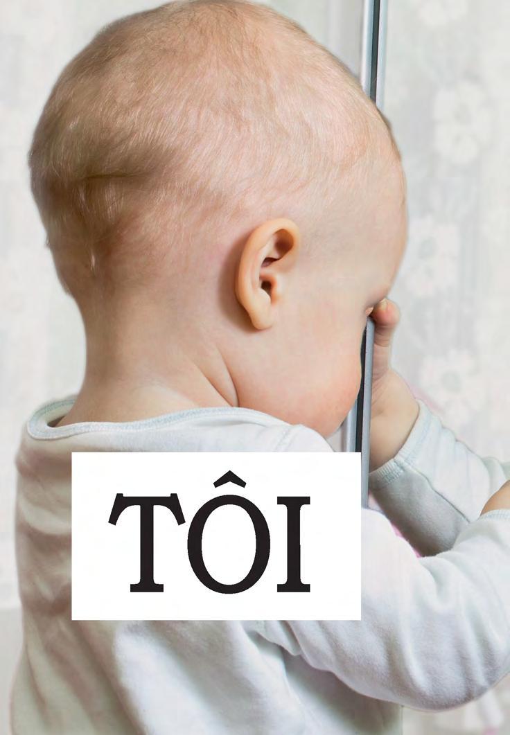 Sách Học Tự Vựng Tiếng Anh Qua Hình Và Ví Dụ Minh Họa