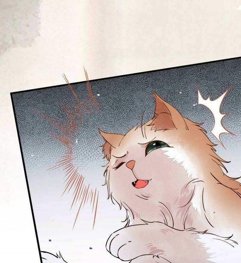 sát thủ vương phi không dễ chọc chapter 34 53