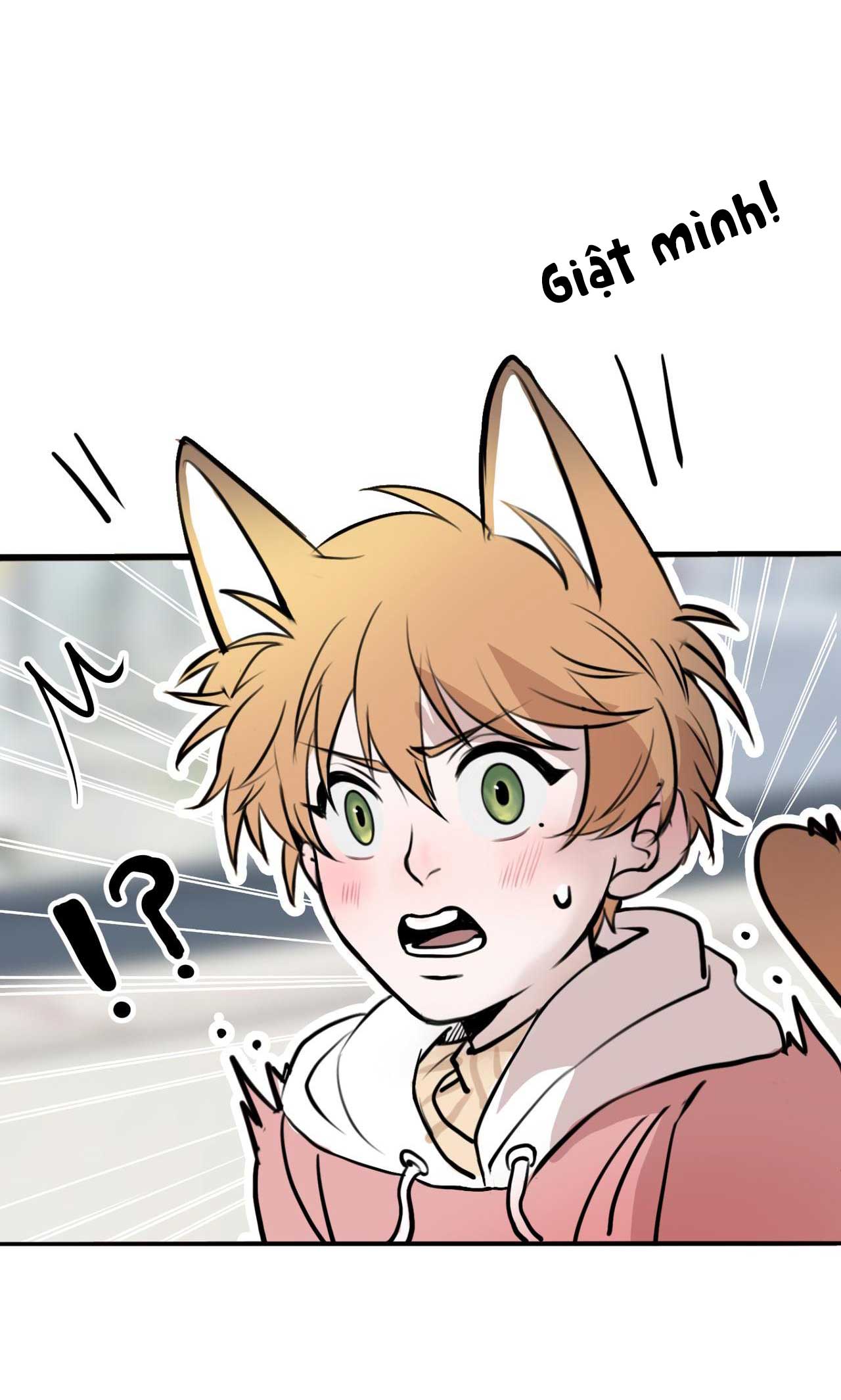 rốt cuộc bé mèo đang nghĩ gì ? chapter 6 38