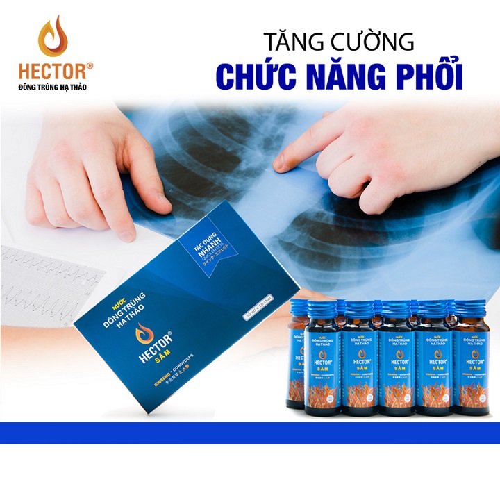 Hector Sâm hộp 10 chai tặng kèm ví duyên dáng Việt Nam