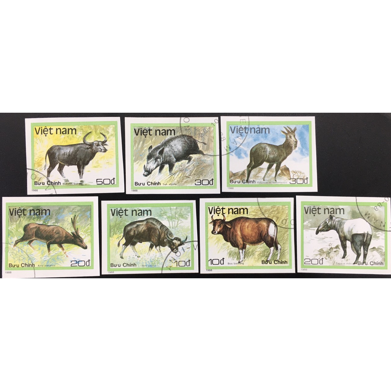 Bộ Tem Sưu Tầm Việt Nam 1988 Không Răng Chủ Đề Động Vật Hoang Dã - 7 Con Stamps