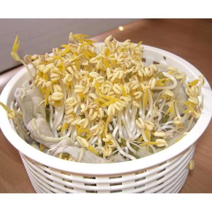Hạt Giống Mầm Giá Đậu Xanh gói 100gr, hat giong rau sach thuy canh