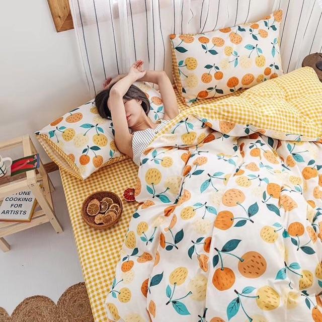 Set Cotton Simble Living Hàng Nhập Khẩu Cao Cấp 4 Món Trái Cam