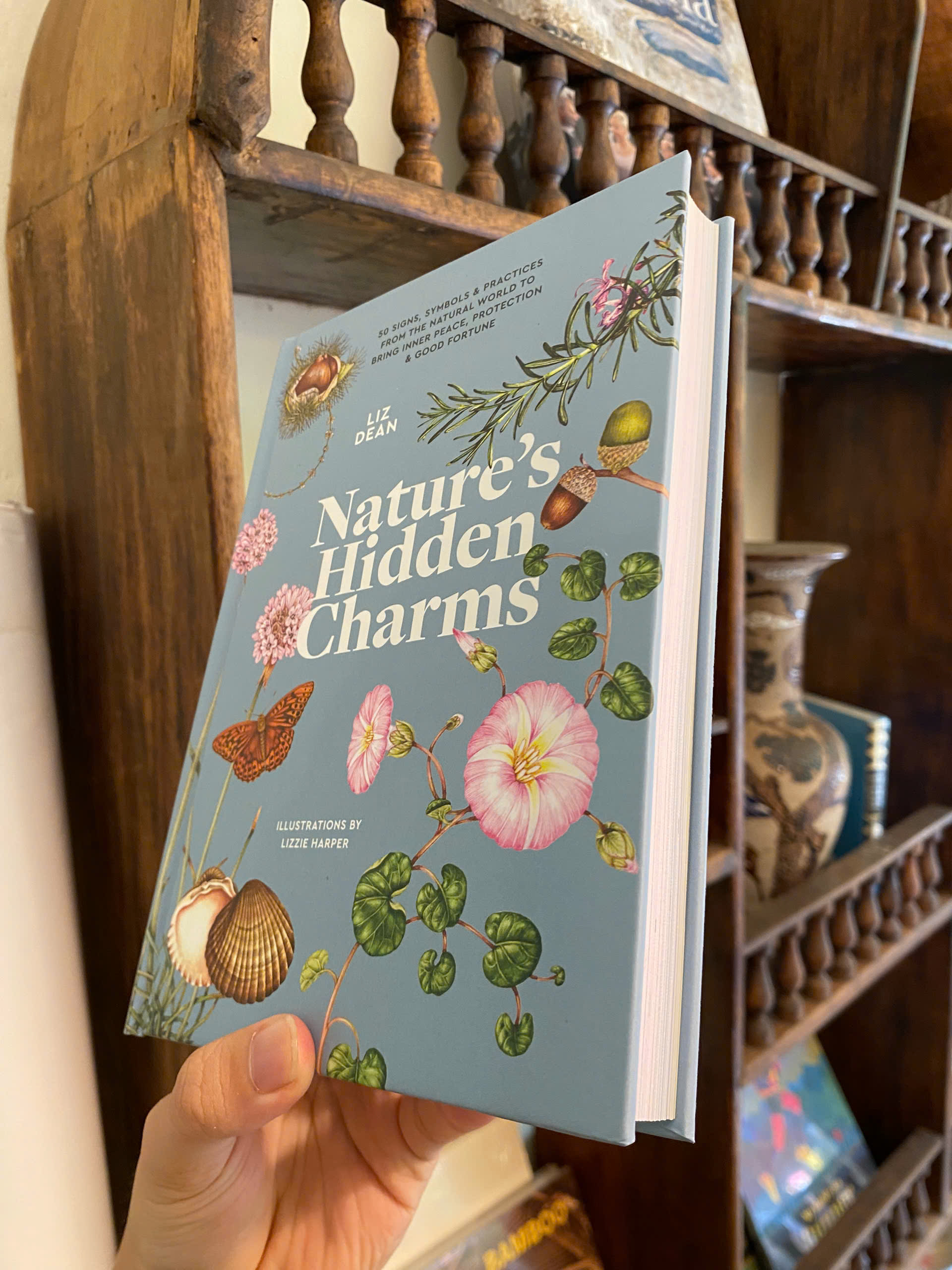 Sách - Nature's Hidden Charms by Liz Dean | Practices from Natural World for Healing Inner Peace
