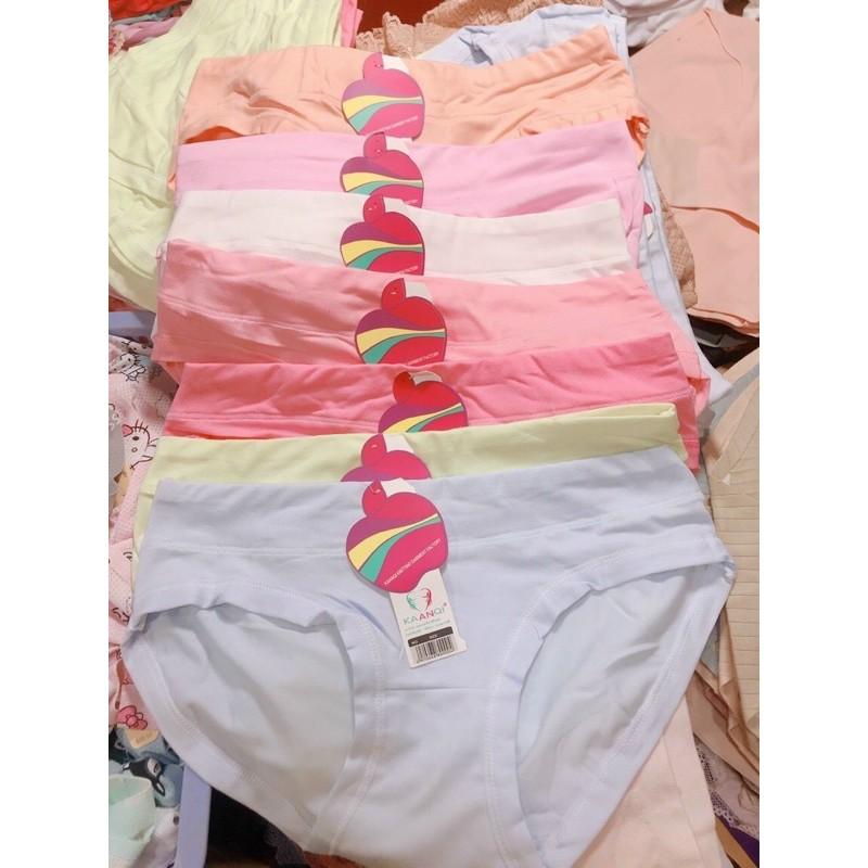 Quần lót quần chip cotton trơn dày dặn -C