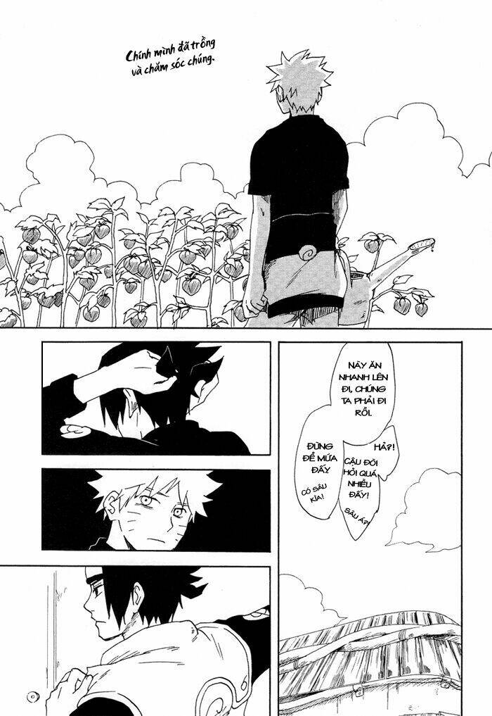 ngôi nhà của mặt trời chapter 1 7