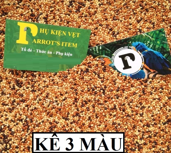 HẠT KÊ 3 MÀU  ĐỦ DƯỠNG CHẤT CHO YẾN PHỤNG, CU GÁY, BỒ CÂU VÀ CÁC DÒNG CHIM NHỎ