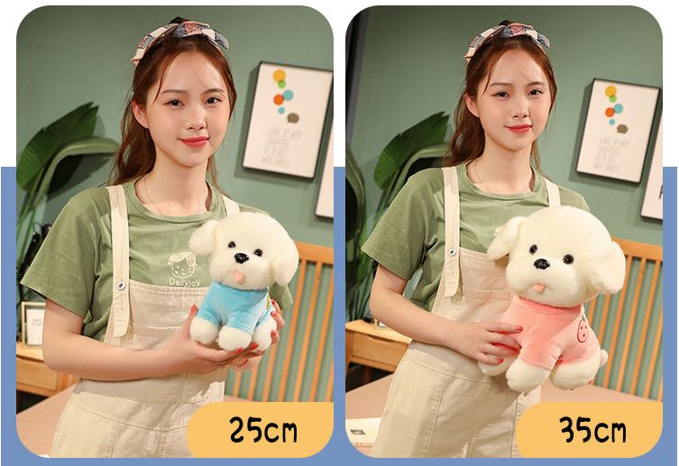 Gấu bông chó Ragdoll siêu đẹp, siêu dễ thương