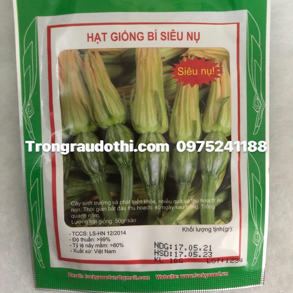 Hạt giống bí siêu nụ gói 10gram