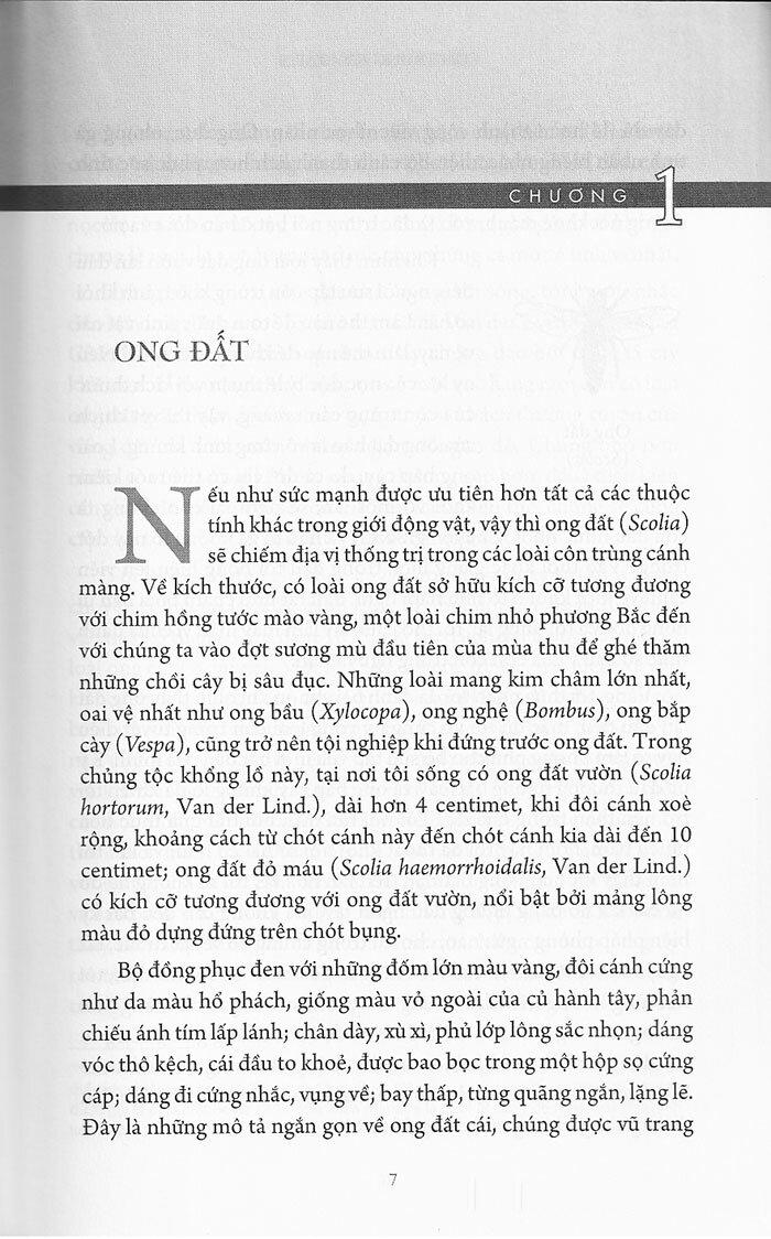 Sách Côn Trùng Ký (Ấn Bản Đầy Đủ Nhất) -Tập 3