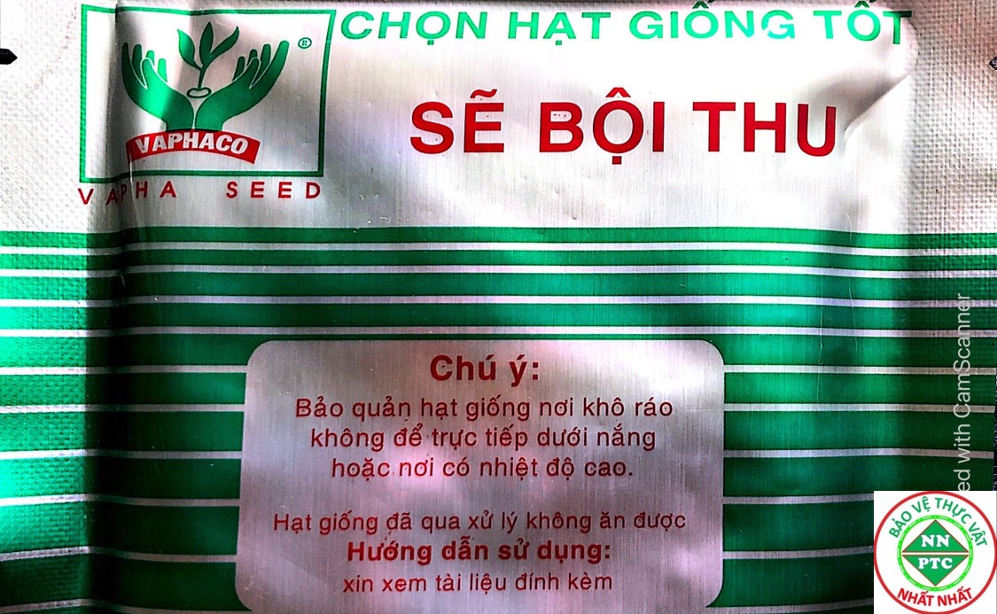 HẠT GIỐNG ĐẬU ĐŨA XANH NHẠT 757