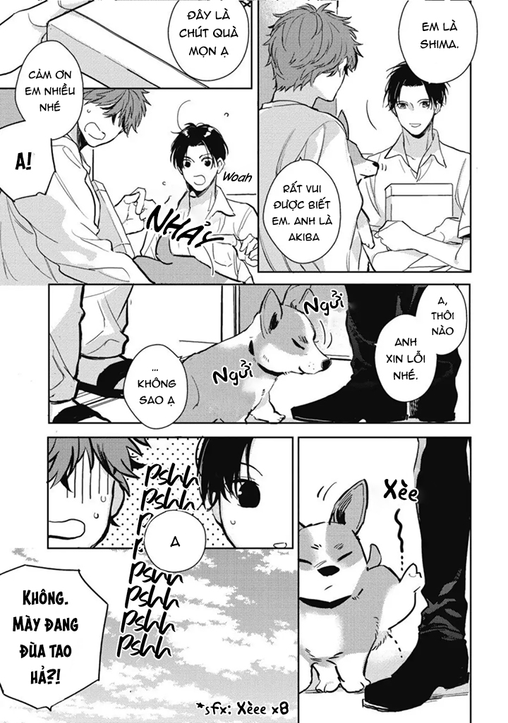 hàng xóm nhà bên chapter 1 7