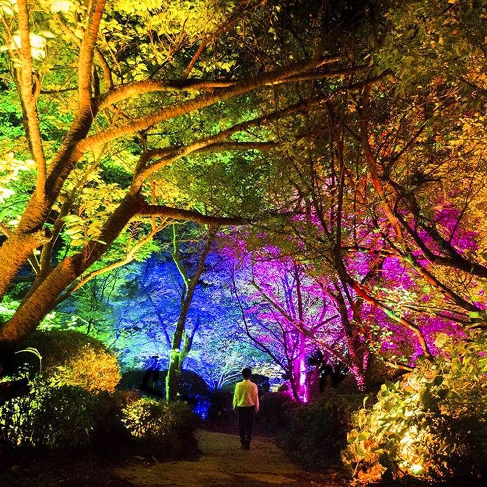 Smart WiFi Flood Light 30W 2000LM Dimmable RGB Color Changing Stage Lights Work with Alexa Google Home Wall Washer