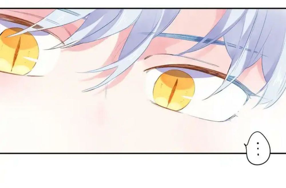 sos! tôi đã yêu một con sâu bướm (phần 2) chapter 49 16