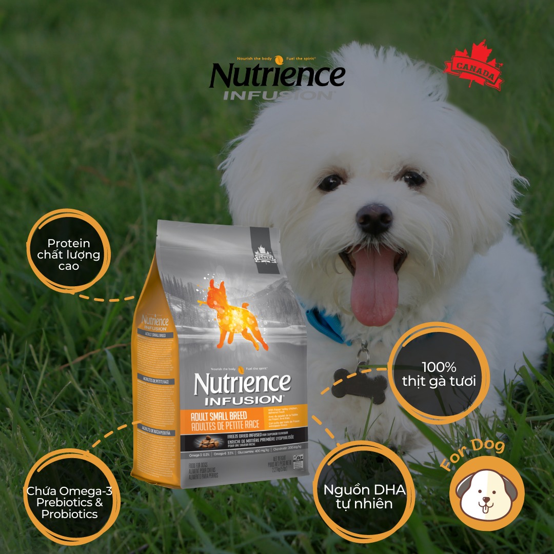 NUTRIENCE Thức ăn chó bao 2.27kg