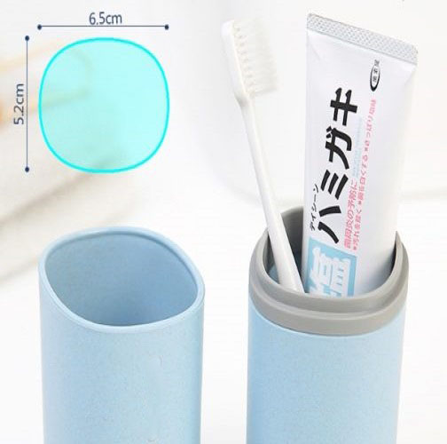 Hộp đựng bàn chải kem đánh răng du lịch E1713