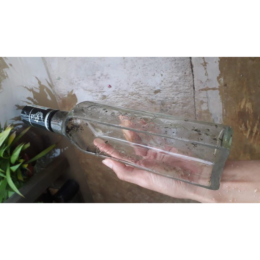 Chậu thủy tinh làm từ chai, made hand