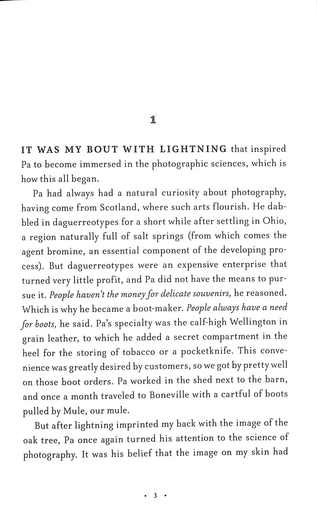 Pony: From The Bestselling Author Of Wonder