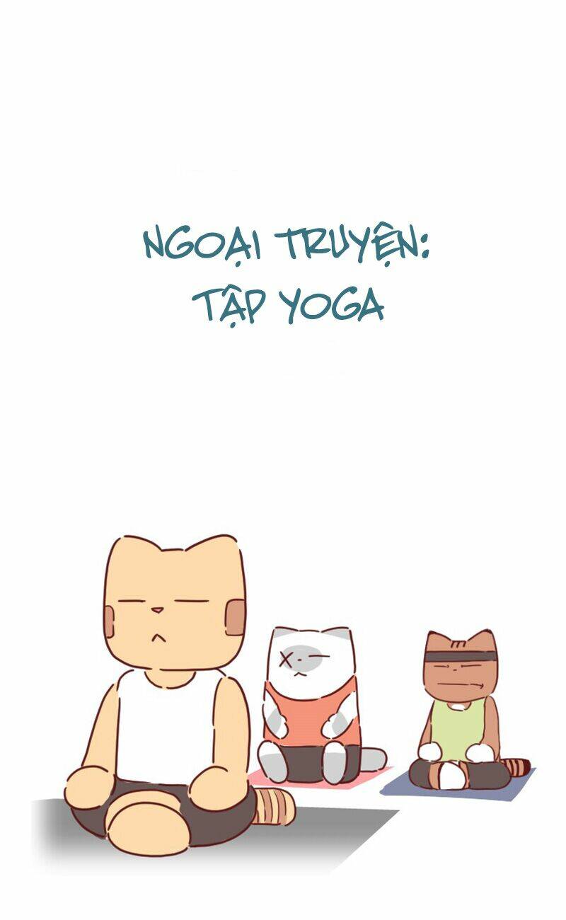 saphie: chú mèo một mắt chapter 25 6