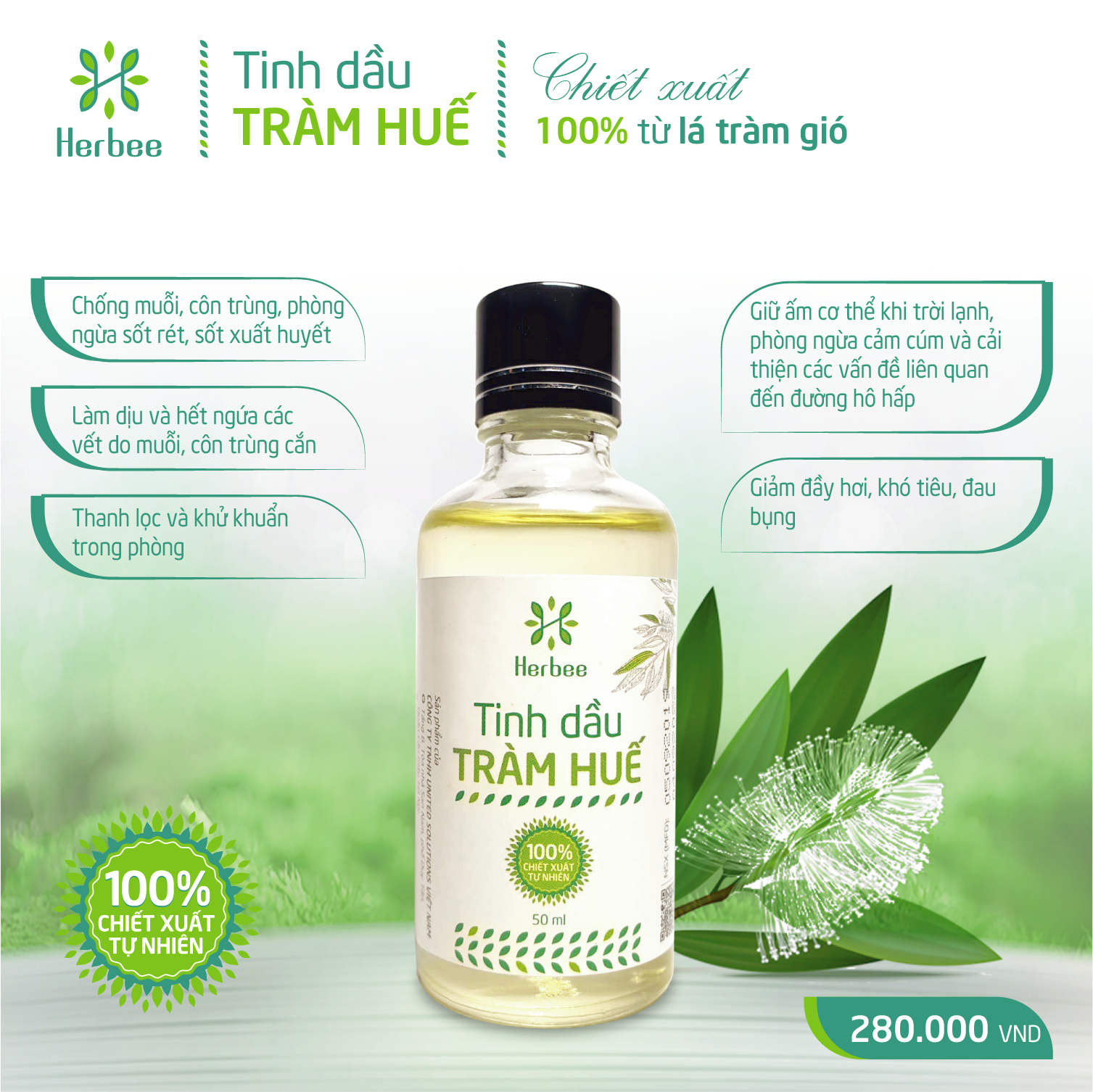 Tinh Dầu Tràm Herbee , Dầu Tràm Nguyên Chất, Giữ Ấm Cơ Thể Khi Trời Lạnh, Chiết Xuất 100% Từ Lá Tràm Gió Huế