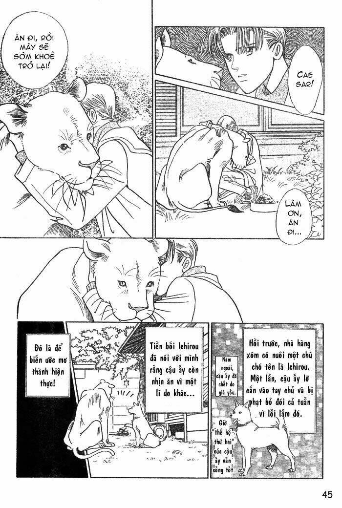 wild cats chapter 1 48