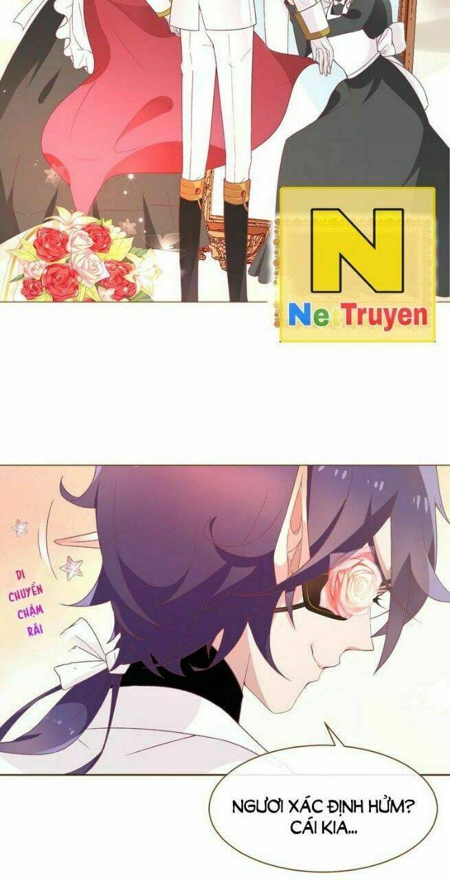 thuần bạch vận mệnh chi luân chapter 1 25