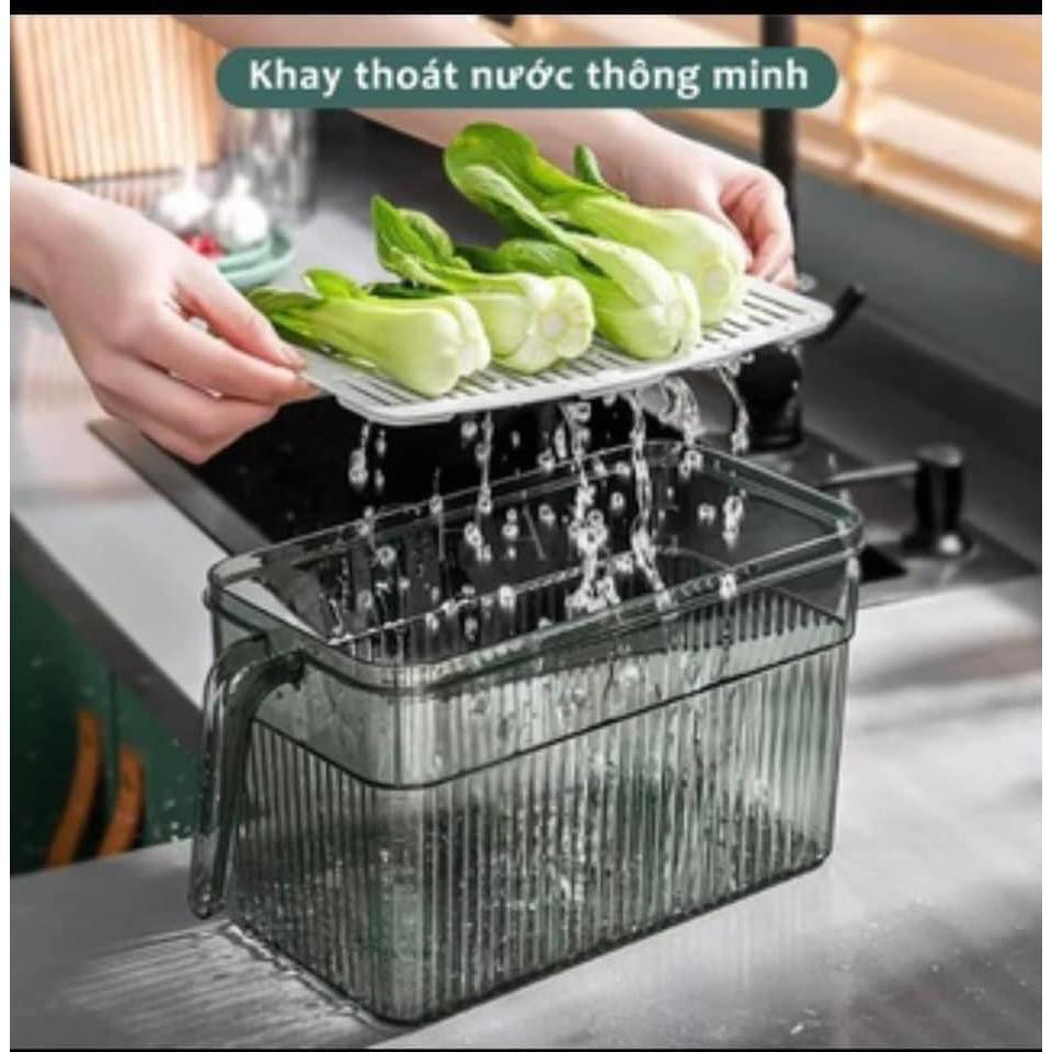 Hộp Bảo Quản Thực Phẩm Tủ Lạnh 3.5L Trong Suốt Có Khay Lót Đáy Và Tay Cầm