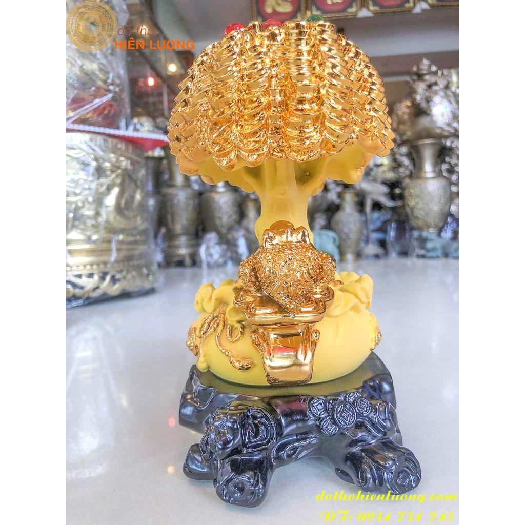 Cây Kim Tiền Bằng Đá