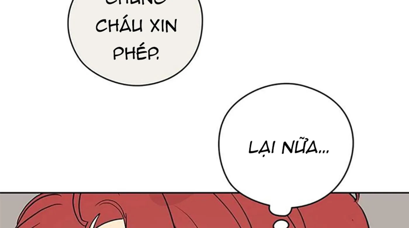 chuyện quái gì với giấc mơ đó vậy chapter 26 252