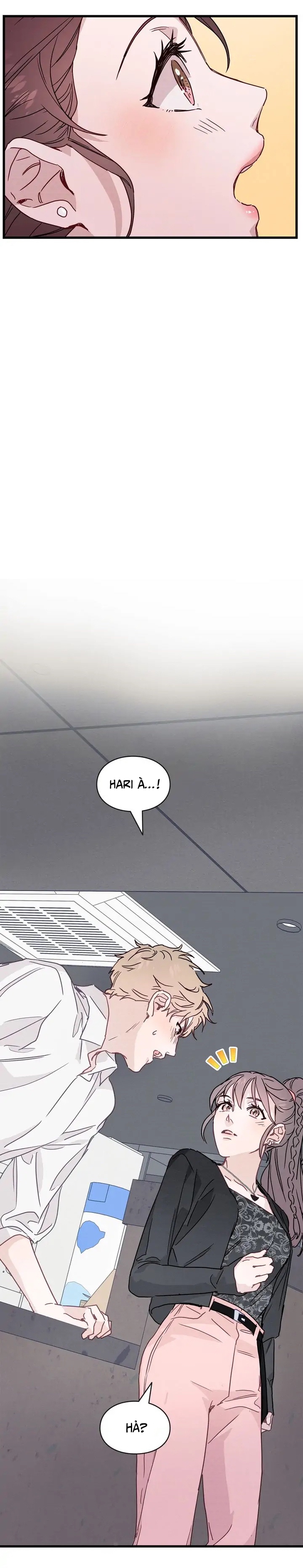 nụ hôn lúc bình minh ở tiffany chapter 29.2 17