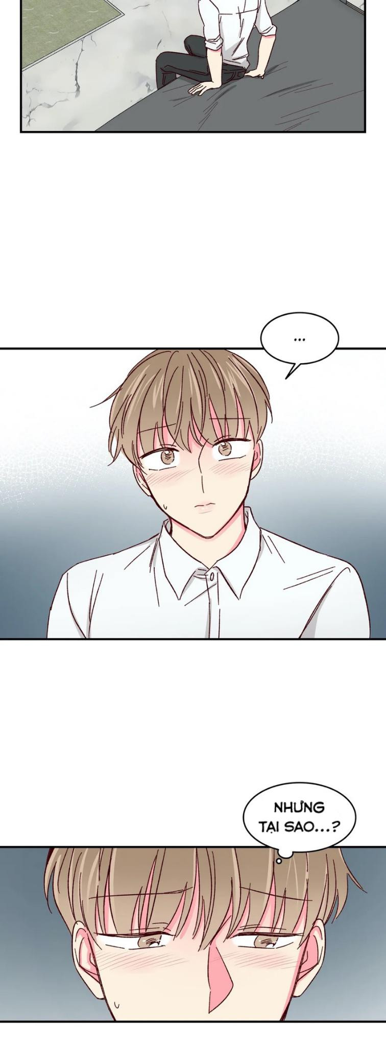 món tráng miệng của sếp tổng chapter 40 13