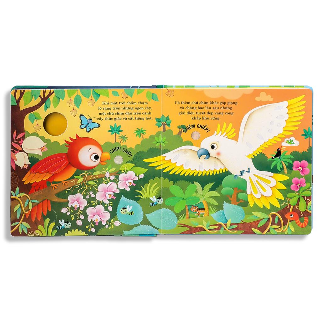 Âm Thanh Của Rừng Xanh - Bản Quyền