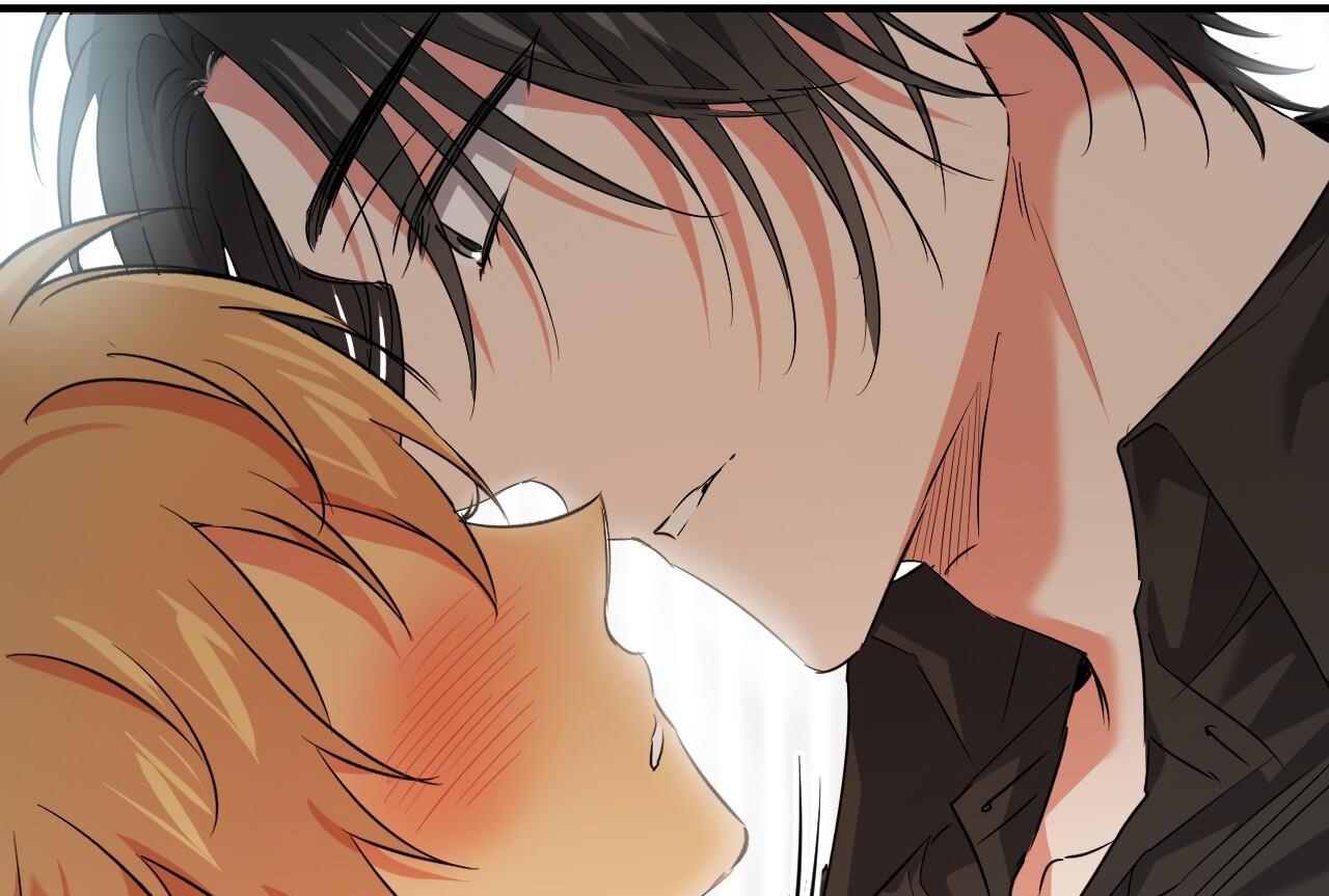 những chú thỏ của hapypy chapter 57 113