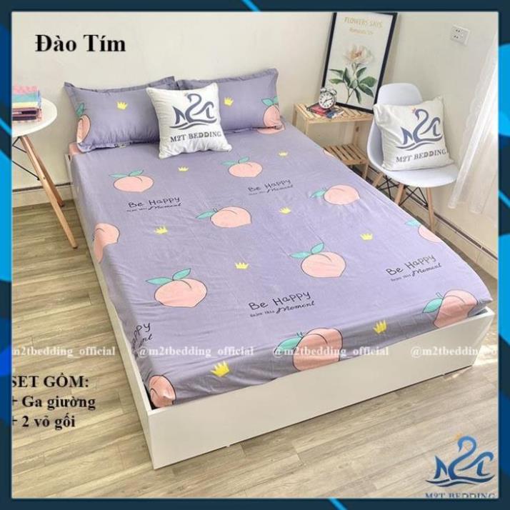 - Bộ 3 món ga gối Cotton Poly Hàn Quốc drap giường và 2 vỏ gối