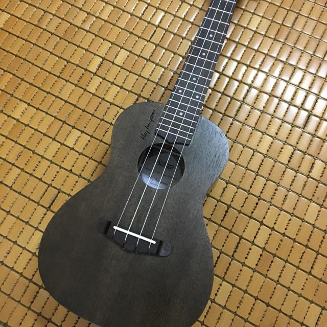 Đàn ukulele concert hey im your